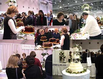 photos from bridal show